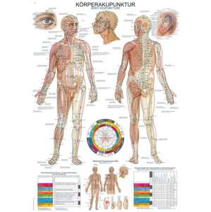 Anatomický plagát Erler Zimmer - Akupunktúra tela