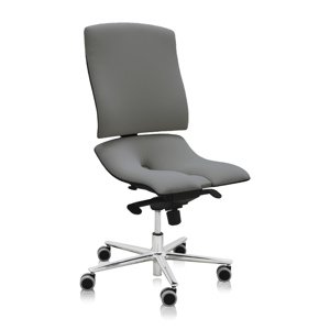 ASANA Seating Ergonomická kancelárska stolička Asana Steel Standard Farba čalúnenia: Látka Atlantic Sivá 60142, Opierky rúk: bez opierok