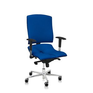 ASANA Seating Ergonomická kancelárska stolička Asana Steel Standard Farba čalúnenia: Eko koža Modrá 567, Opierky rúk: bez opierok