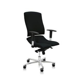 ASANA Seating Ergonomická kancelárska stolička Asana Steel Standard Farba čalúnenia: Látka Atlantic Čierna 60999, Opierky rúk: s opierkami