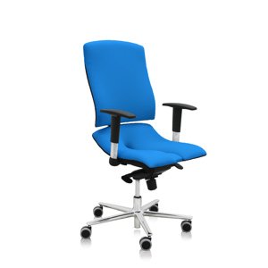 ASANA Seating Ergonomická kancelárska stolička Asana Steel Standard Farba čalúnenia: Látka Atlantic Modrá 66086, Opierky rúk: s opierkami