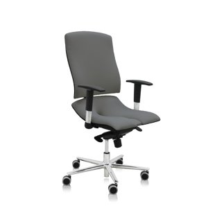 ASANA Seating Ergonomická kancelárska stolička Asana Steel Standard Farba čalúnenia: Látka Atlantic Sivá 60142, Opierky rúk: s opierkami