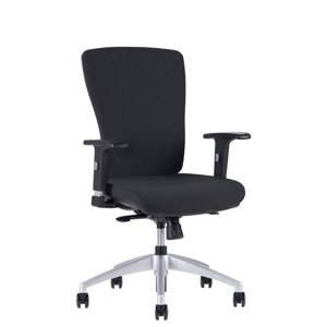 Ergonomická kancelárska stolička OfficePro Halia Farba: čierna, Opierka hlavy: bez opierky