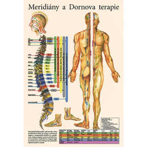 Vydavateľstvo Poznání Anatomický plagát - Meridiány a Dornova terapia
